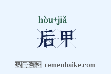 后甲是什么意思的图片